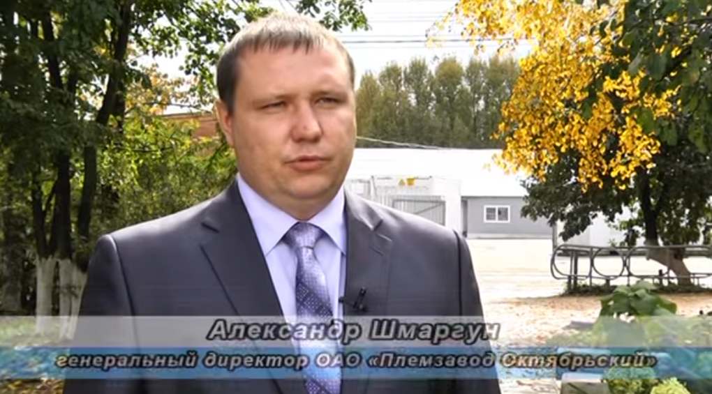 Племзавод Октябрьский.